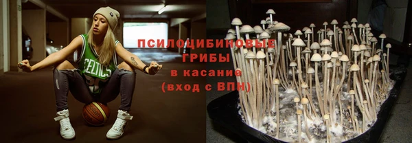 прущая мука Алзамай
