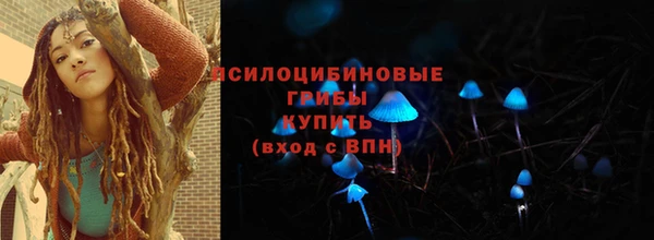 стаф Абаза